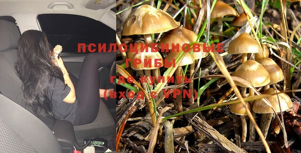 марки nbome Алзамай